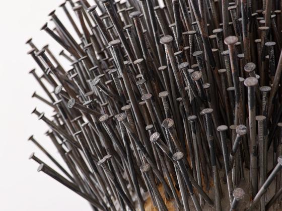 Zu sehen ist ein Ausschnitt und Nahsicht der Arbeit "Waldgarten" von Günther Uecker im Hochformat. Die Arbeit besteht aus einem Baumstamm, in den zig Nägel eingeschlagen wurden. Die Nägel sind nicht komplett im Stamm versenkt, sodass eine Art Kuppel, Stachel-Frisur oder abstrakte Baumkrone ensteht. 