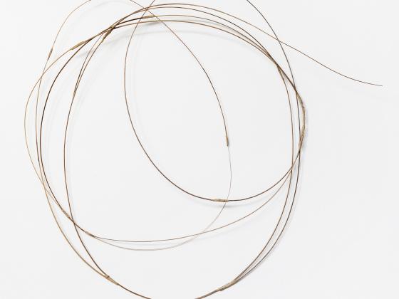 Ev Pommer, fermata (1), 2025, Palmrispen, Papier, 35 x 38 x 4 cm