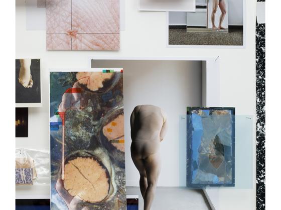 Barbara Proschak, Detail aus: In_let#2, Bilder unterschiedlicher Größen, Fundstücke, Insekten- und Stecknadeln, 2-teiliger Kasten, 100x80x9 cm, 2010-2025 © Barbara Proschak