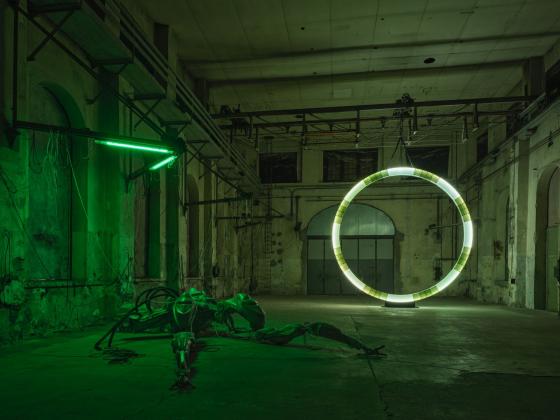 Davide Allieri Kunstraum Dornbirn