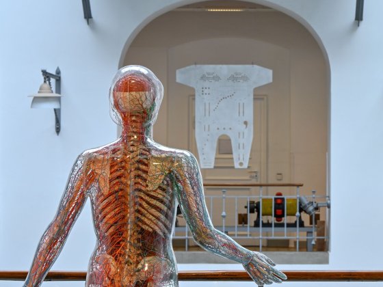Mariechen Danz: Circuits. Mit Maschinen und  Modellen aus der Sammlung Historische Elektromaschinen und der Sammlung Hochspannungstechnik der TU Dresden und Leihgaben aus dem Deutschen Hygiene-Museum Dresden. Doppelausstellung der Galerie der Kustodie im Görges-Bau der TU Dresden mit dem Kunstverein Dresden.