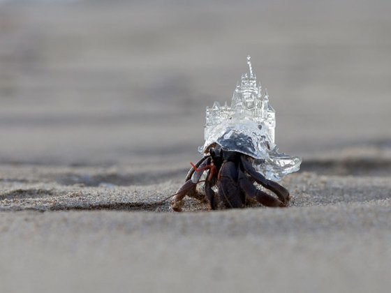 AKI INOMATA, Why Not Hand Over a 'Shelter' to Hermit Crabs?, White Chapel, 2014-2015, Courtesy of Maho Kubota Gallery, © AKI INOMATA
