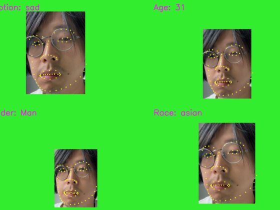 Collage mit vier ähnlichen Porträts einer Person mit Brille. Gelbe Punkte markieren Gesichtszüge (z. B. Augen, Mund, Kontur). Grüner Hintergrund mit Texten: „Emotion: sad“, „Age: 31“, „Gender: Man“, „Race: asian“.