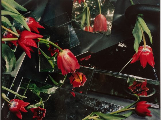 Ketuta Alexi-Meskhishvili, Tulip Season for Henri, 2024, Analog C-print, Foto: George Kolbaia 