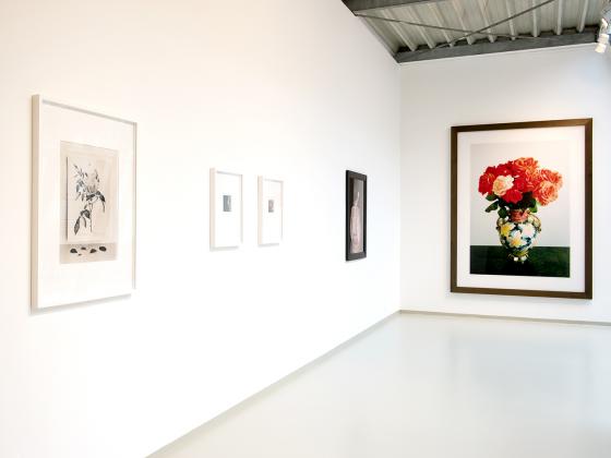 Profile picture for user Galerie Clara Maria Sels