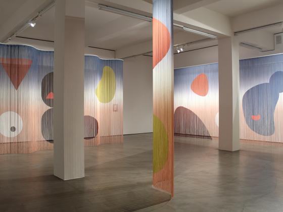 Installation view Erika Hock @ COSAR HMT