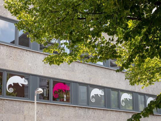 Profile picture for user SabineKassebaum