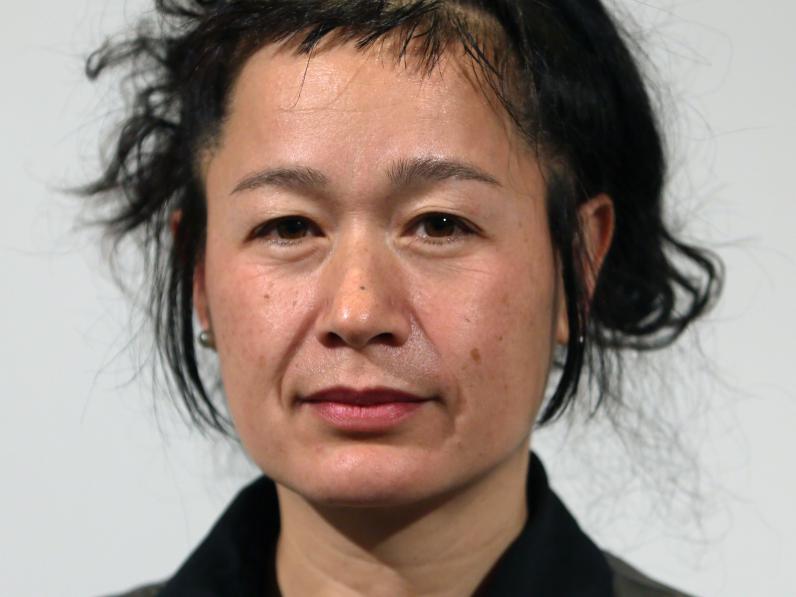 Hito Steyerl