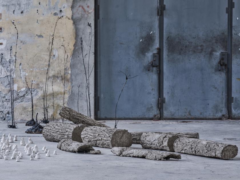 Ursula Palla, 'Kleiner Wald' (2015), 'Fireweed' (2021) und 'The Silent Spring' (2021), Installationsansicht 'Heimspiel 2024', Kunstraum Dornbirn, Foto Günter Richard Wett, courtesy der Künstlerin