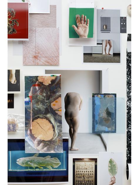 Barbara Proschak, Detail aus: In_let#2, Bilder unterschiedlicher Größen, Fundstücke, Insekten- und Stecknadeln, 2-teiliger Kasten, 100x80x9 cm, 2010-2025 © Barbara Proschak