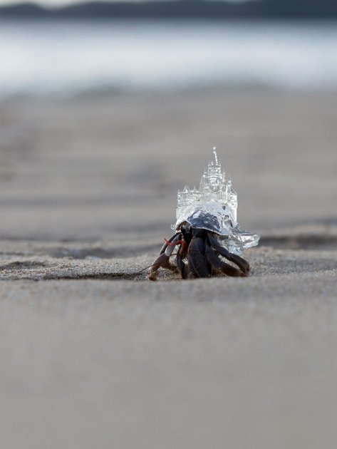 AKI INOMATA, Why Not Hand Over a 'Shelter' to Hermit Crabs?, White Chapel, 2014-2015, Courtesy of Maho Kubota Gallery, © AKI INOMATA