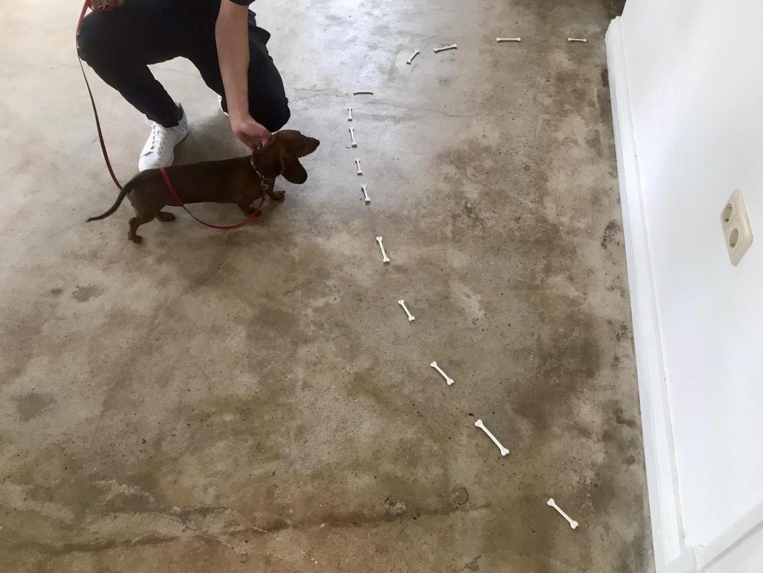 Freddie trifft Henrike Naumann