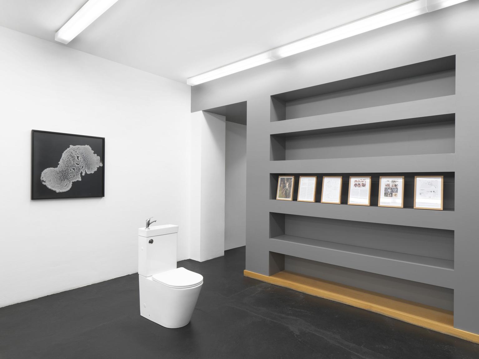 Tomás Saraceno "Tomás Saracenoi", Installationsansicht Neugerriemschneider, Berlin, 2025