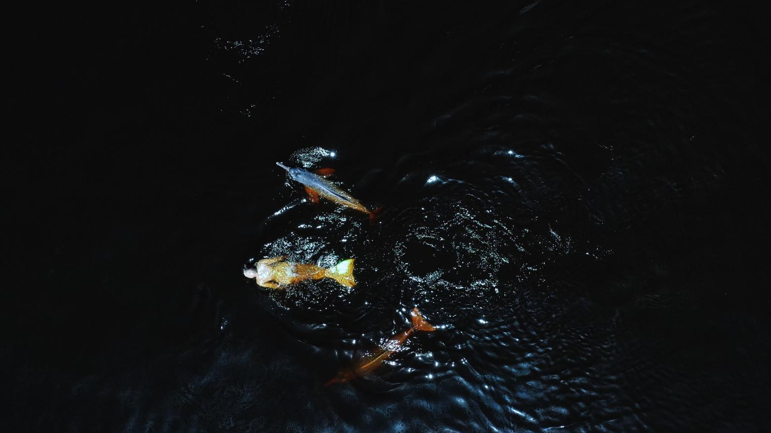 Emilija Škarnulytė "Æqualia", Filmstill, 2023