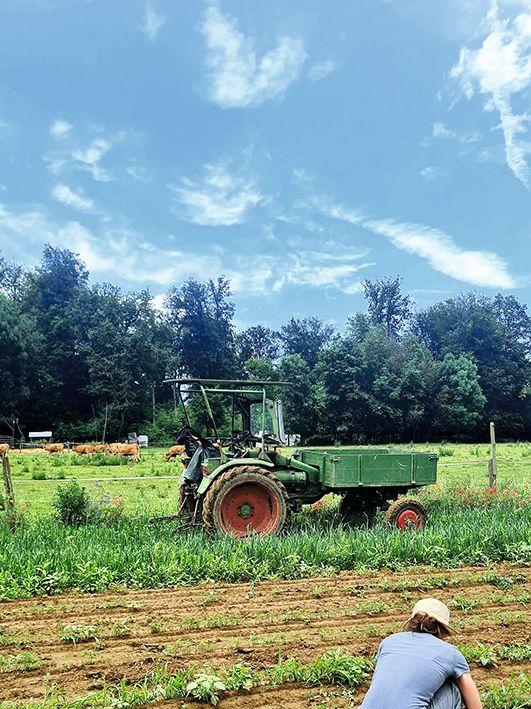 Nachhaltigkeit in der Kulturküche Karlsruhe