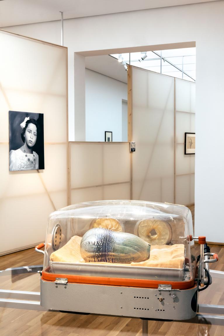 Ausstellungsansicht "Giulia Andreani. Sabotage", Hamburger Bahnhof – Nationalgalerie der Gegenwart, 2026