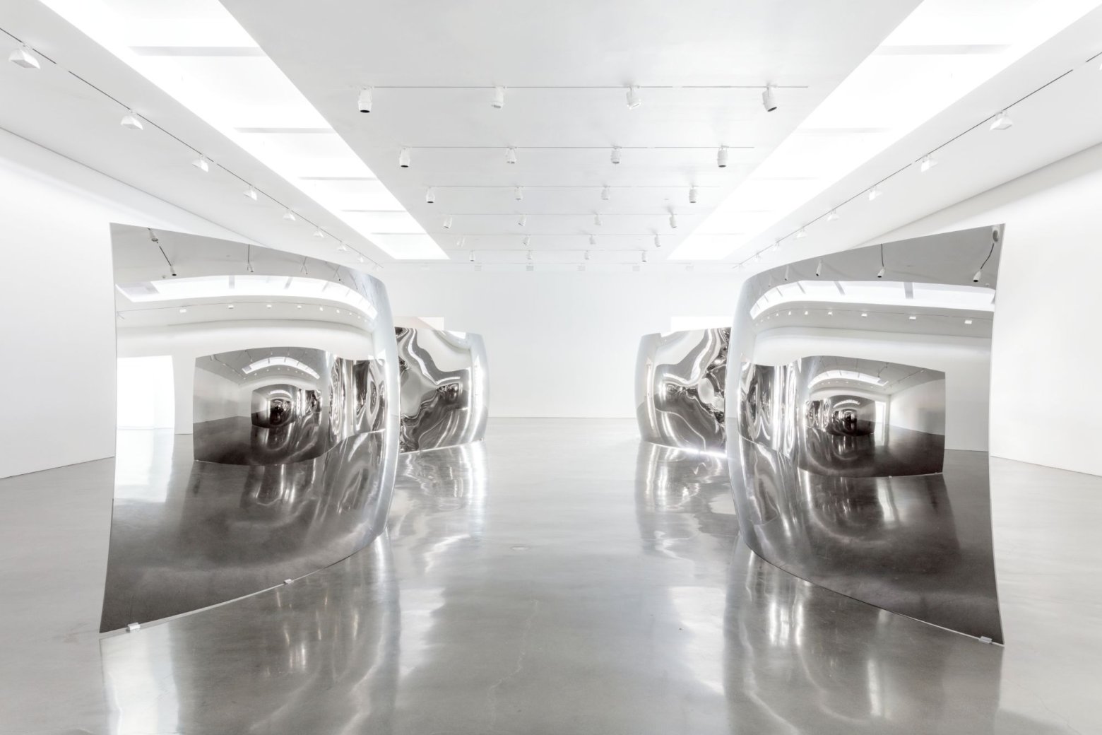 Anish Kapoor "Double-S-Curve", 2019 