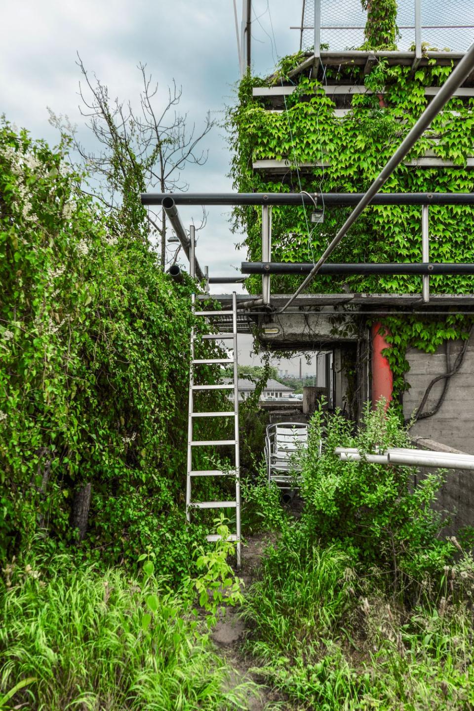 Das Baumhaus von Ot Hoffmann