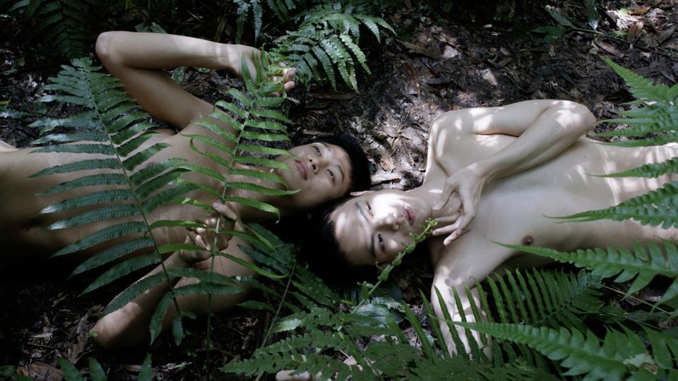 Zheng Bo "Pteridophilia", Filmstill, 2021