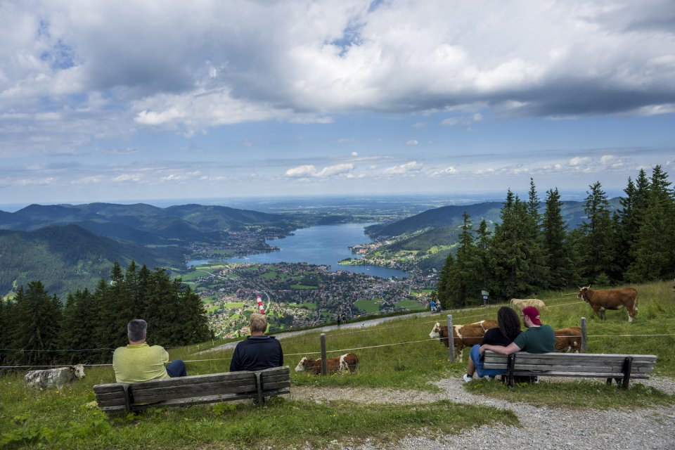Foto, Alpenwiese mit Bänken; Menschen blicken auf See und Berge; Kühe weiden unter Wolken.