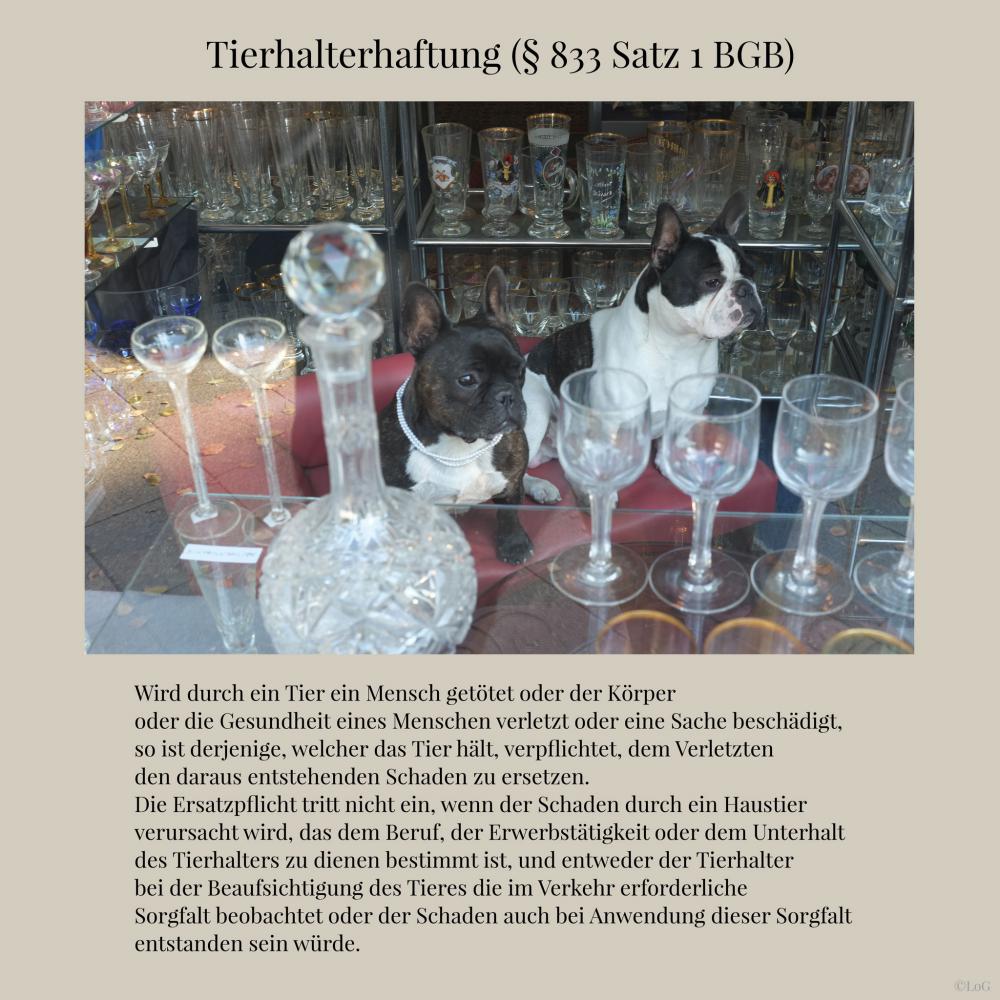 Andreas Hahm-Gerling und Dirk von Selle "Laws of Germany"