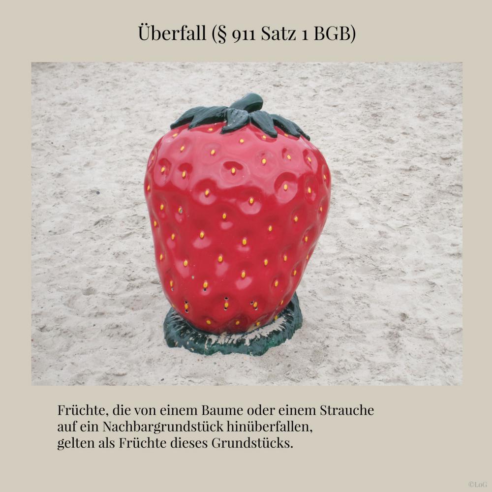 Andreas Hahm-Gerling und Dirk von Selle "Laws of Germany"