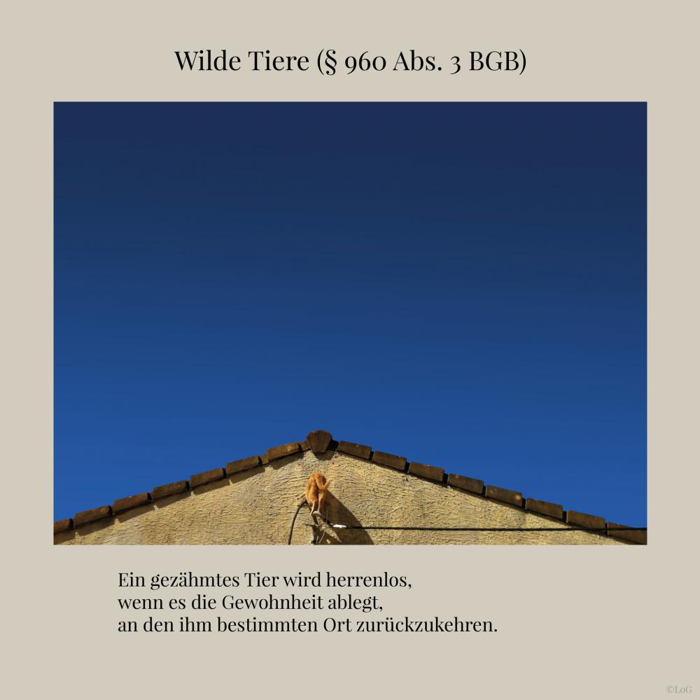 Andreas Hahm-Gerling und Dirk von Selle "Laws of Germany"