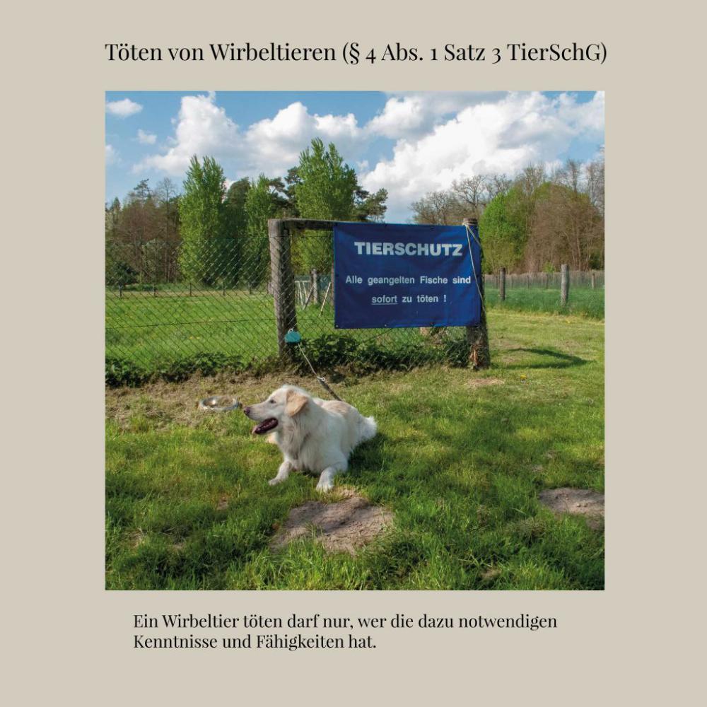 Andreas Hahm-Gerling und Dirk von Selle "Laws of Germany"