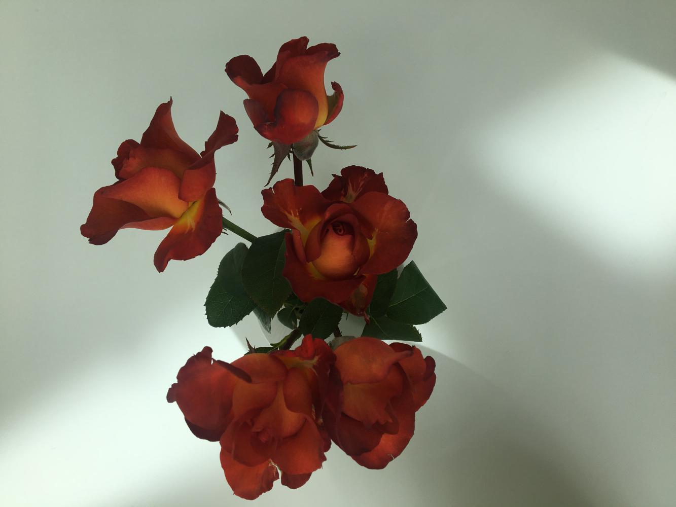 Foto: Friedrich von Borries