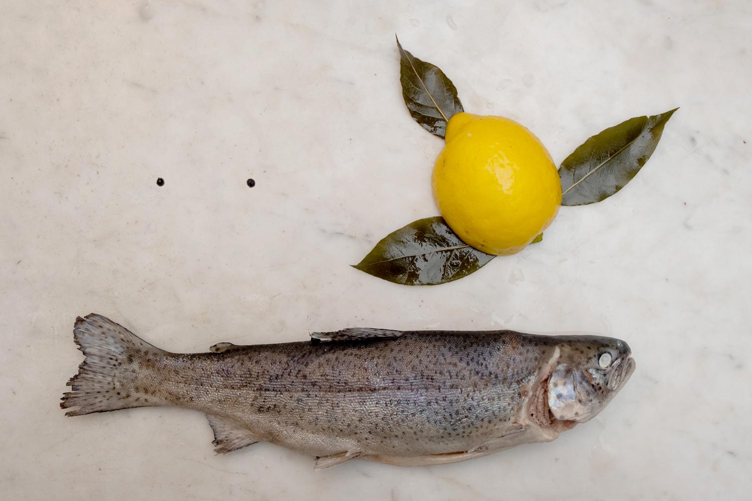 Forelle blau mit Krone.jpg