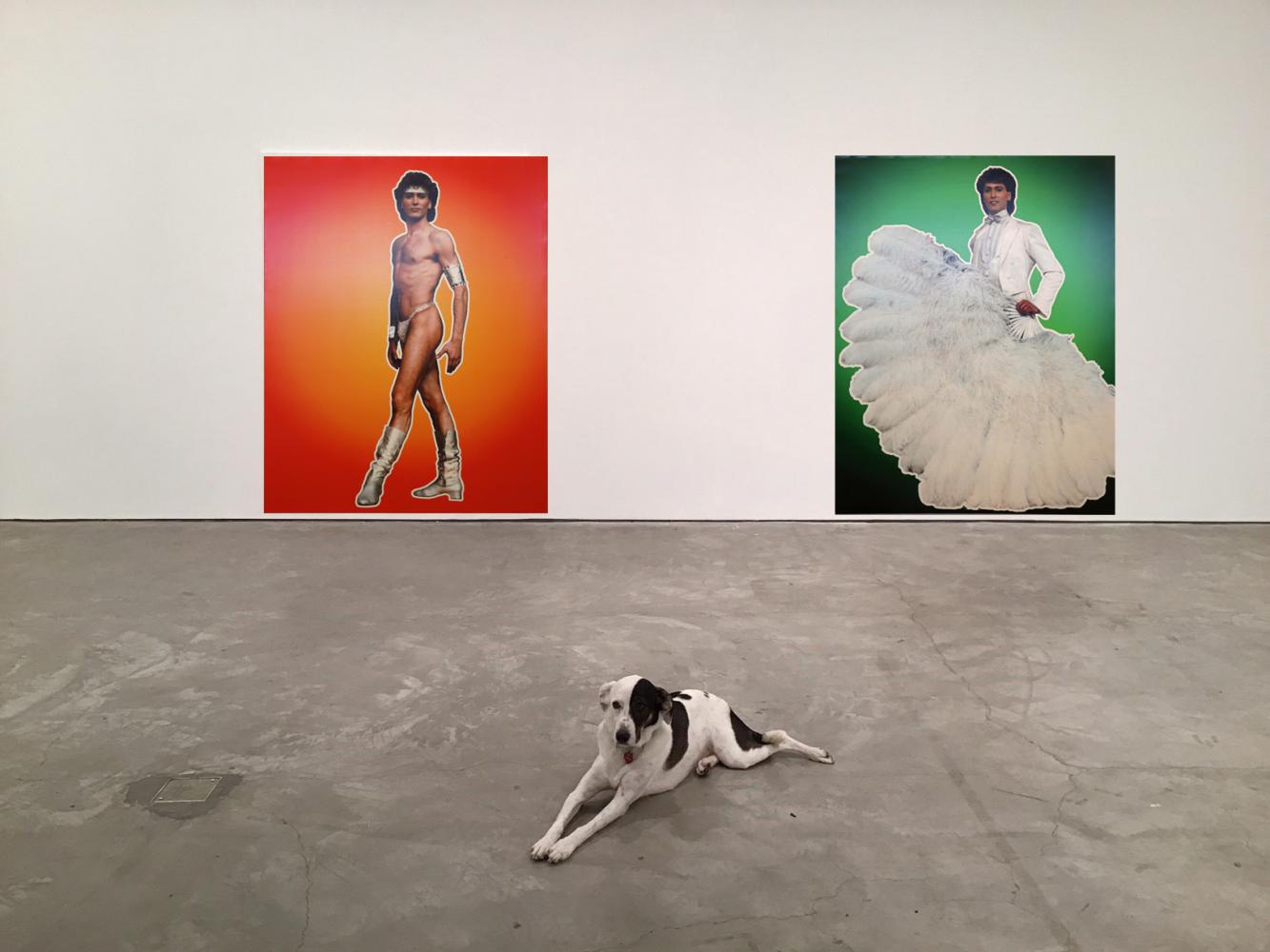 Im Athener Nationalmuseum für Zeitgenössische Kunst (EMST) sind Hunde in den Ausstellungsräumen erlaubt