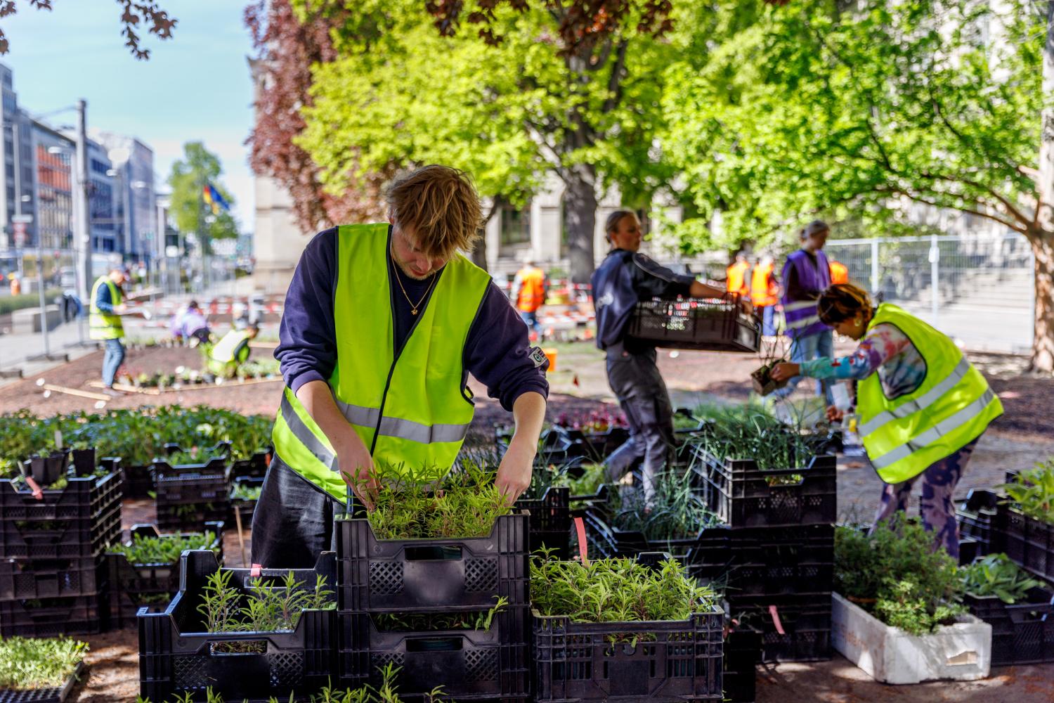 Installationsansicht "Pollinator Pathmaker", im Frühling 2023