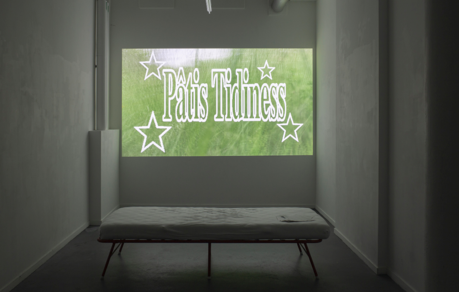 Virginie Sistek "Pâtis Tidiness", 2023