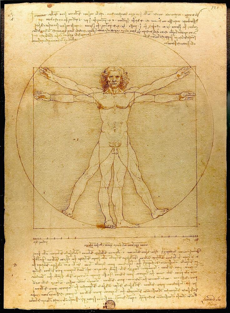 Der vitruvianische Mensch von Leonardo da Vinci