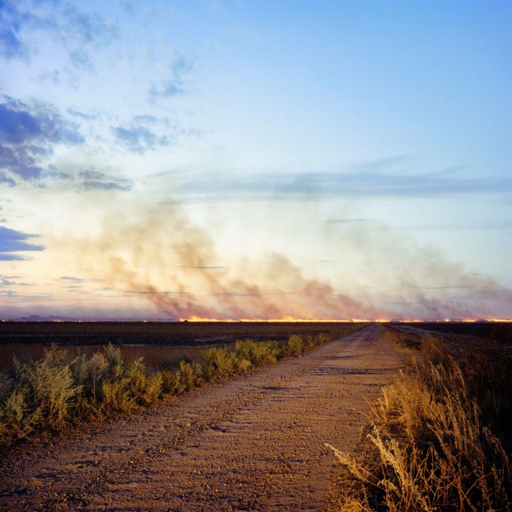 Sommer 2024. Oblast Mykolajiw, Ukraine. Brennende Felder auf der Straße von Snihuriwka nach Mykolajiw