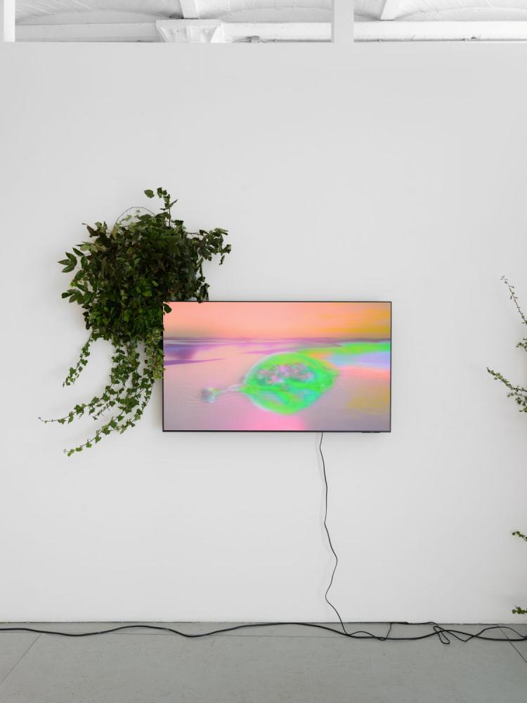 "Down the Silicon Meadow", Ausstellungsansicht, Office Impart, Berlin 2025