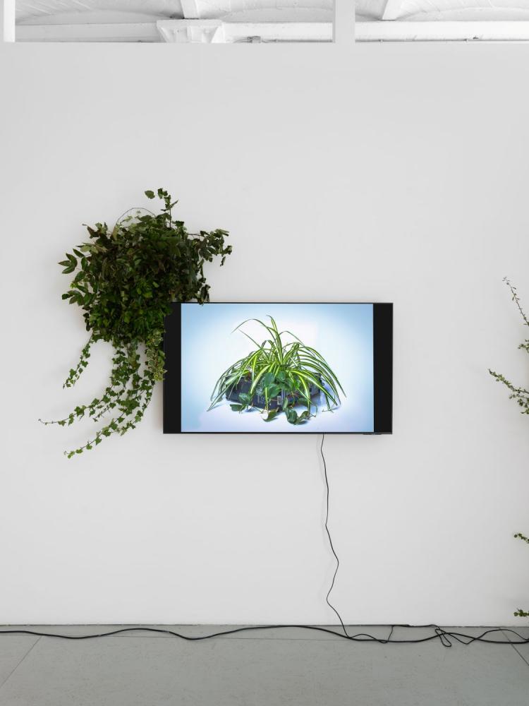 "Down the Silicon Meadow", Ausstellungsansicht, Office Impart, Berlin 2025