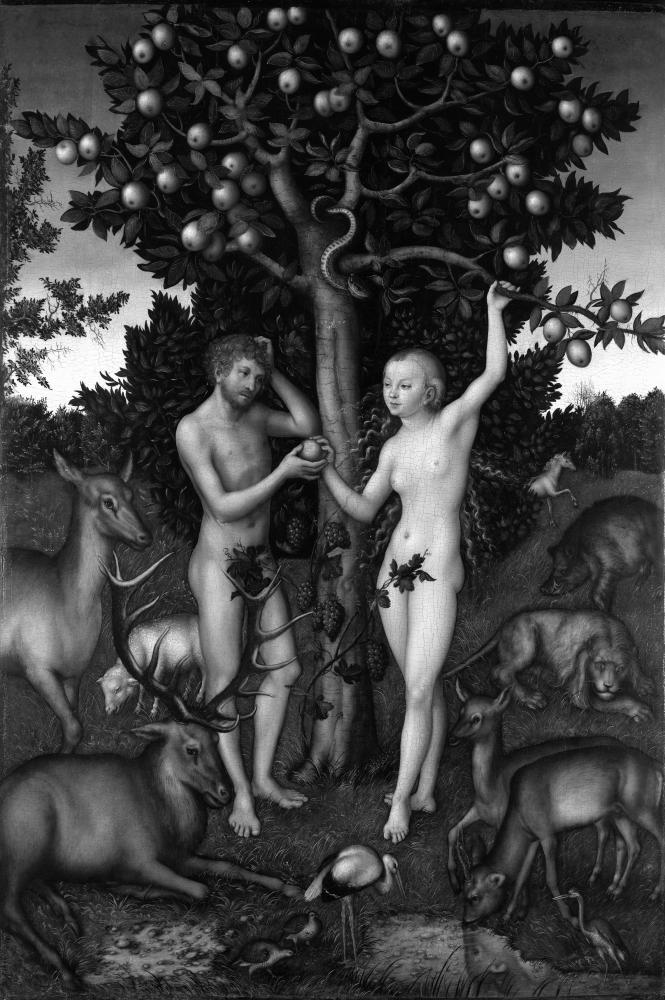 Cranach