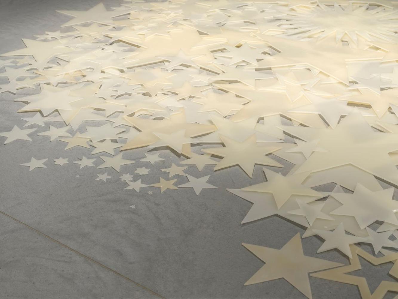 Shilpa Gupta "Stars on Flags of the World", 2012/23, Detail