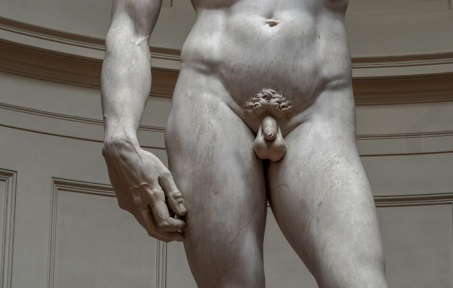 Dick Pick aus der Renaissance: Detail von Michelangelos "David" in Florenz