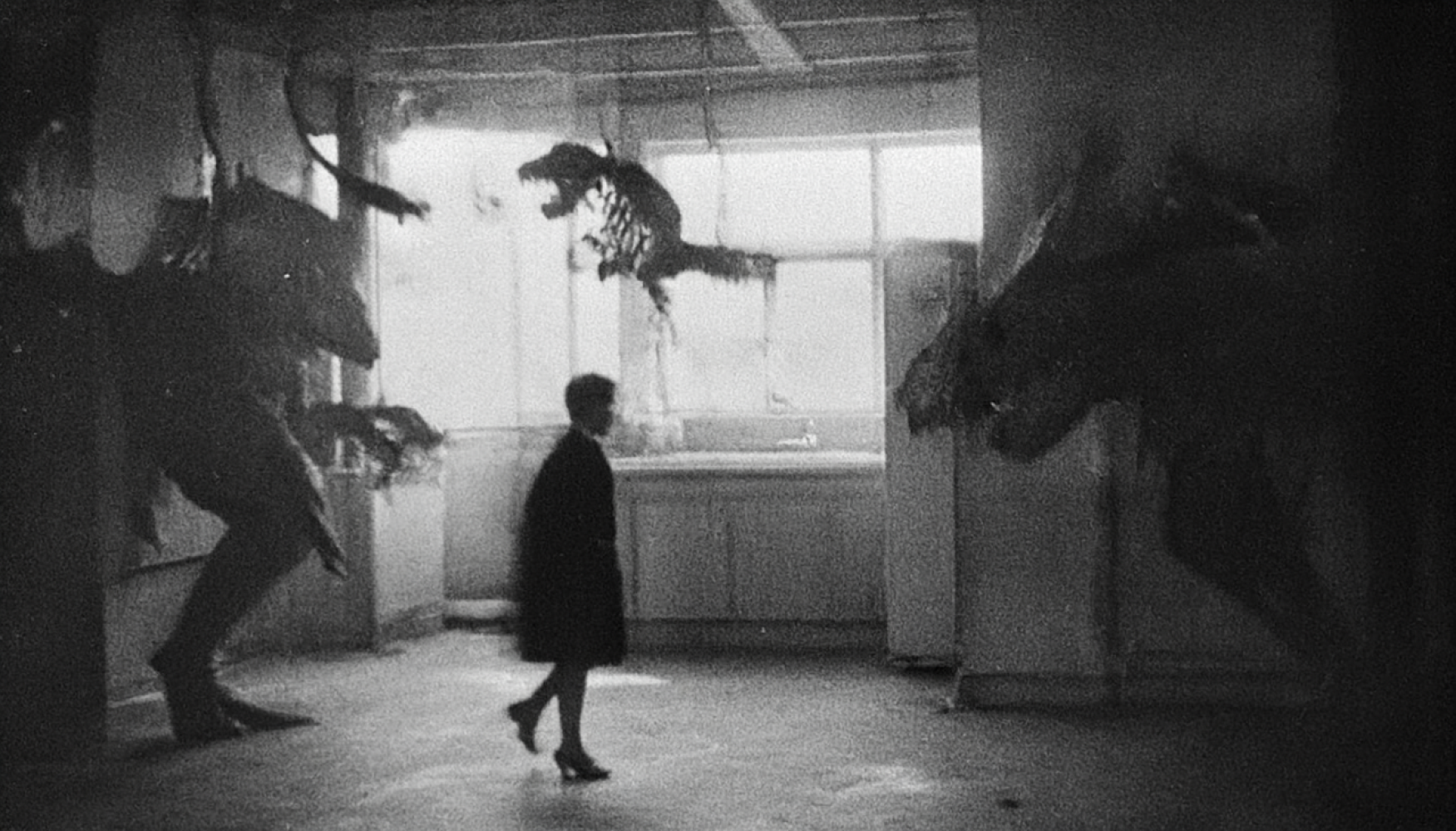 Hedda Roman "I left something in the woods", 2025, Filmstill