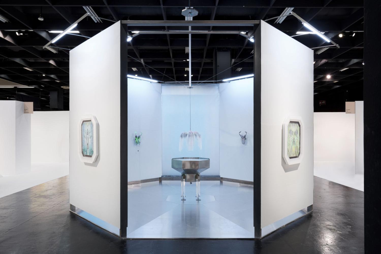 Adriano Amaral für die Galerie Yehudi Hollander - Pappi, Art Cologne, 2025