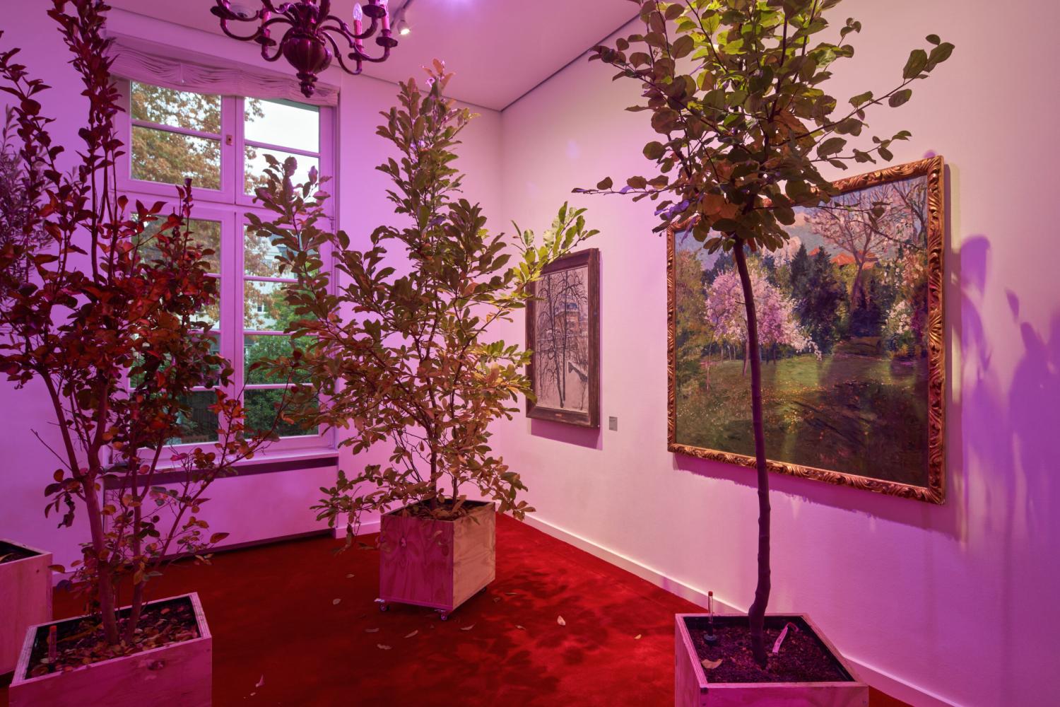 Asad Raza "Root sequence. Mother tongue", 2017, Installationsansicht Museum Giersch, Frankfurt am Main, 2025