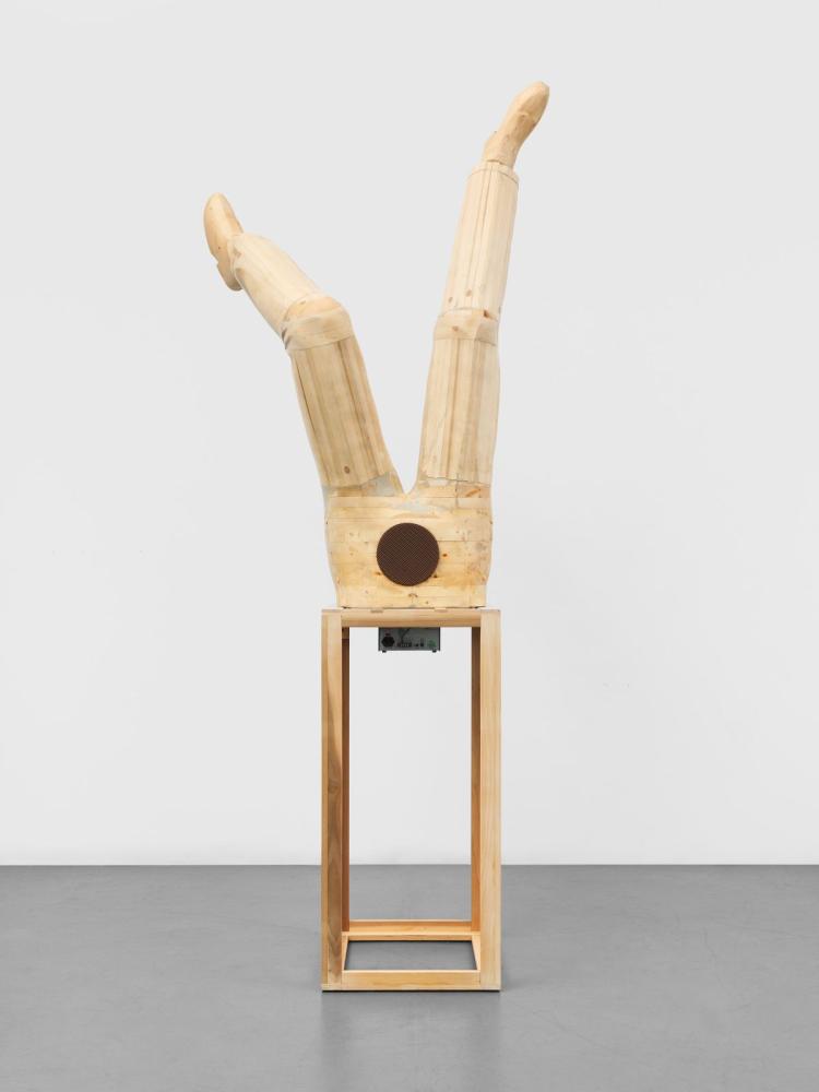 Pope.L "Du Bois Machine", 2013