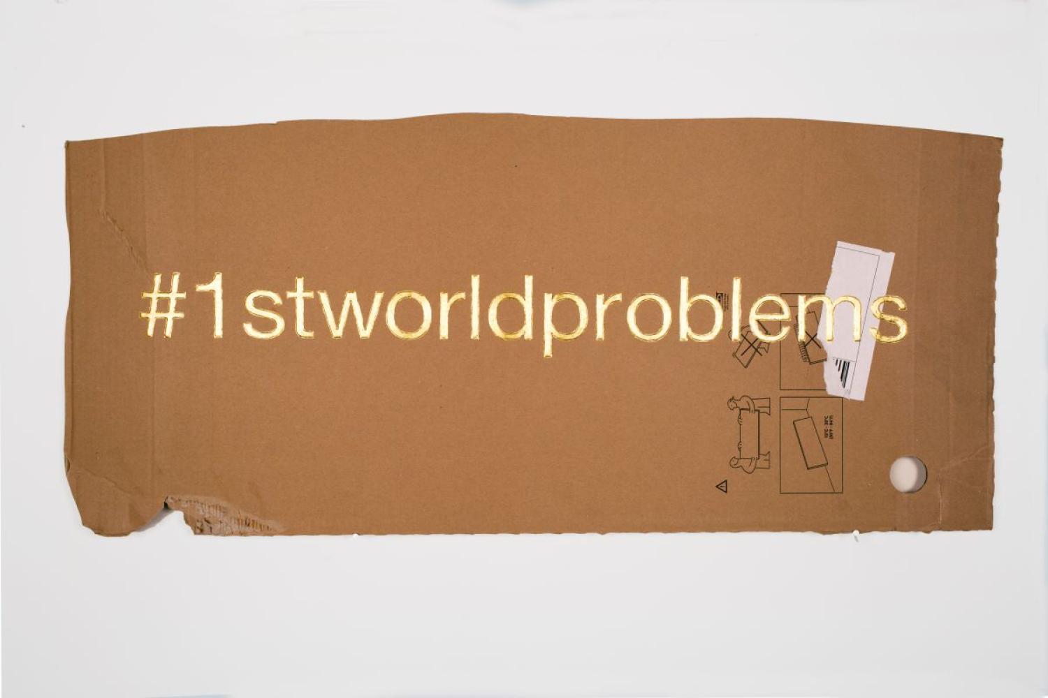 Christine Tien Wang "First world problems", 2015