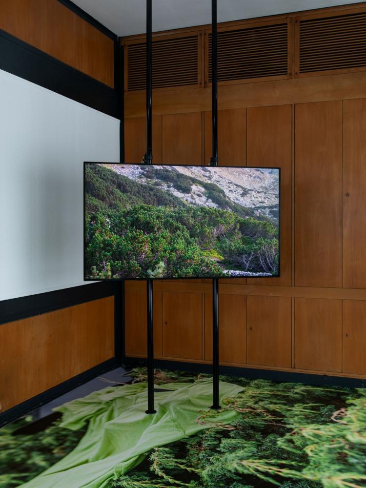 "PAN", Ausstellungsansicht CCA Berlin, 2026