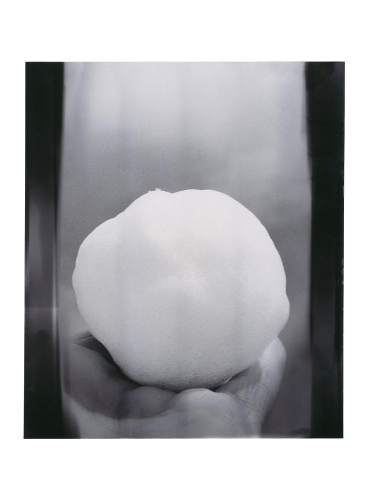 Dörte Eißfeldt "No. 27", aus der Serie Schneeball, 1987