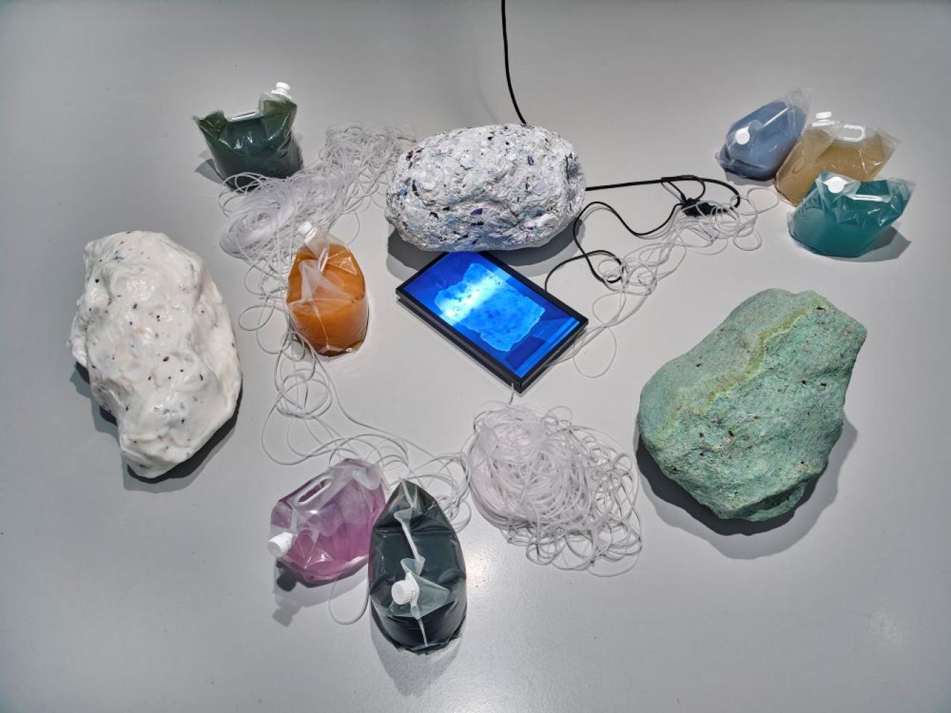 Katarína Dubovská "Intertwined Conditions (II)", 2019–2020