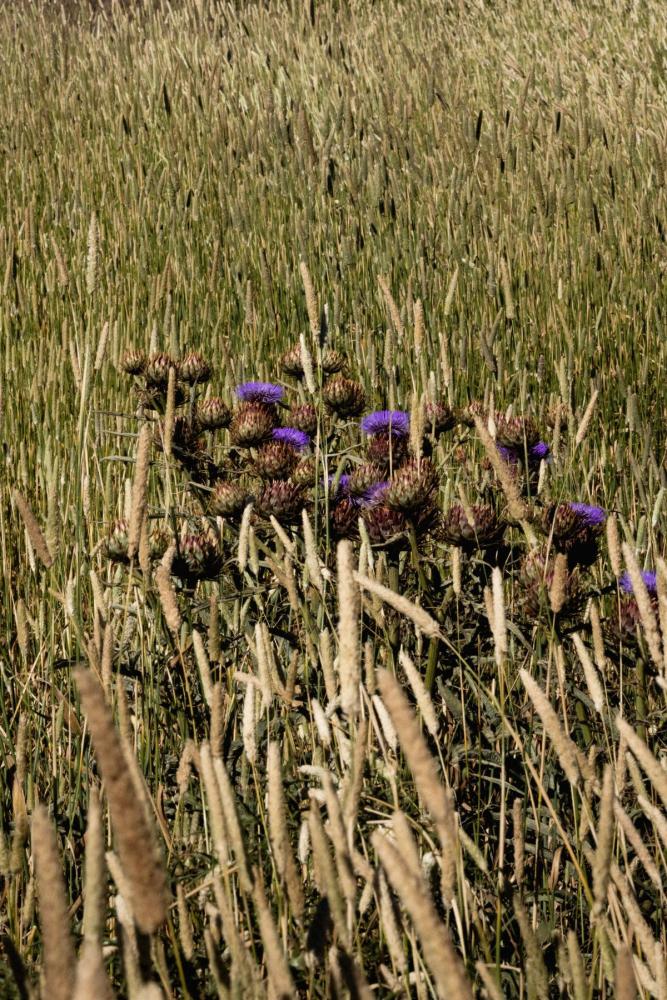 Jörg Brüggemann "Aguas que no has de beber No. 7", 2022