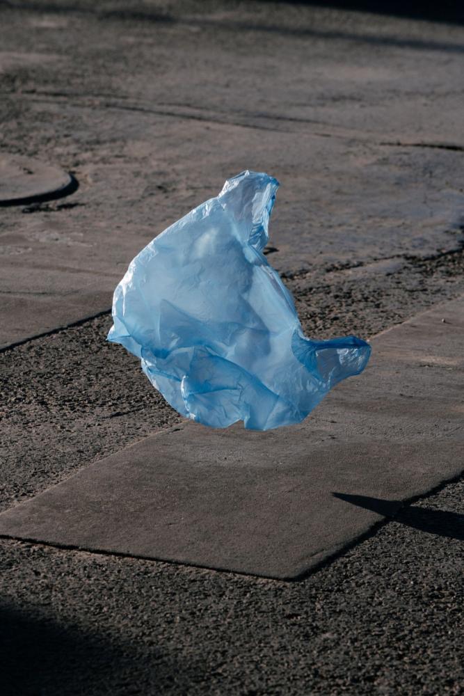 Jörg Brüggemann "Mi madre tiene novio No. 7", 2018